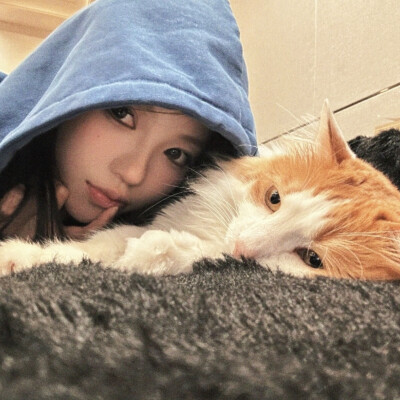 dt林宇婧