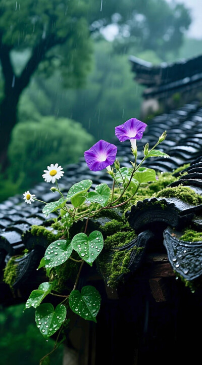 在往后的日子里，学会割舍，放下怨恨，甩开执念，终能在漫漫人生长河中洒脱过活。