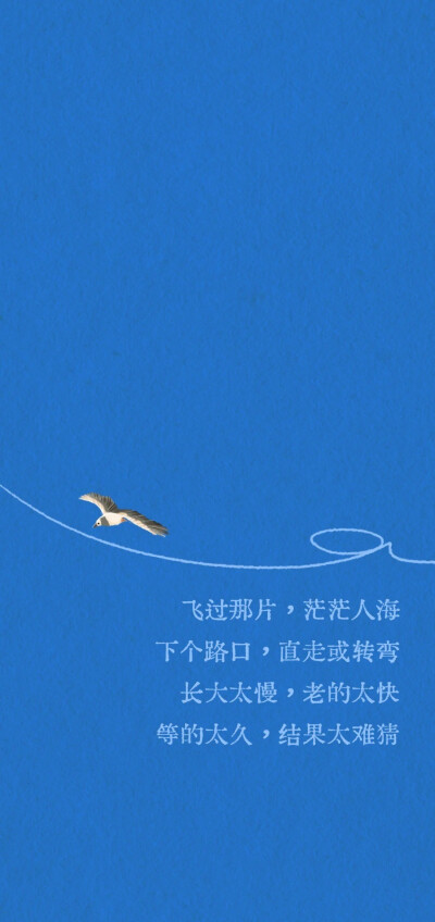 五月天