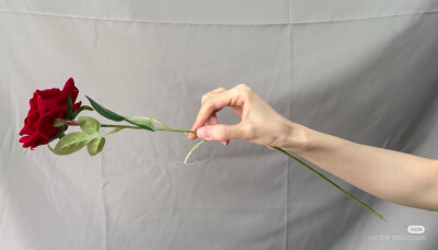 手拿玫瑰