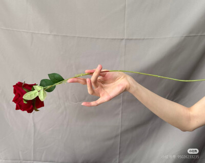 手拿玫瑰