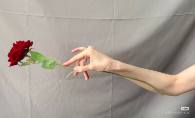 手拿玫瑰