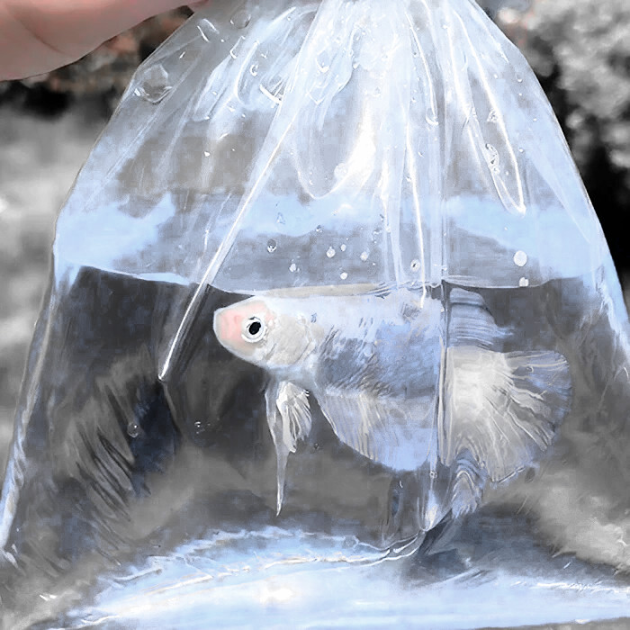 ✧₊˚‧触れるくらいの幸せ抱っこして•