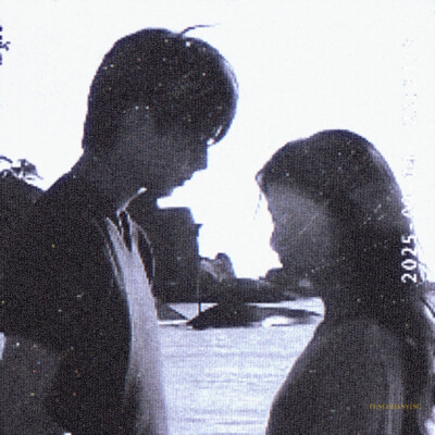 宋威龙Ｘ张婧仪