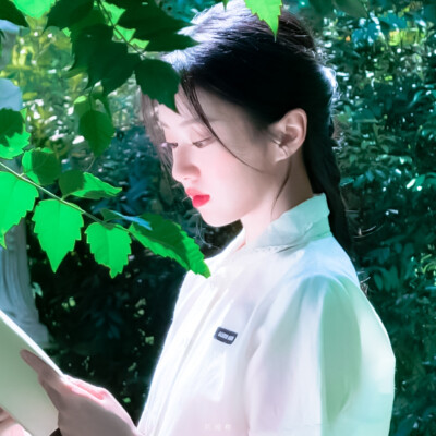 包上恩