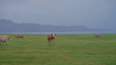 世界的某一个角落
pic from Linksphotograph