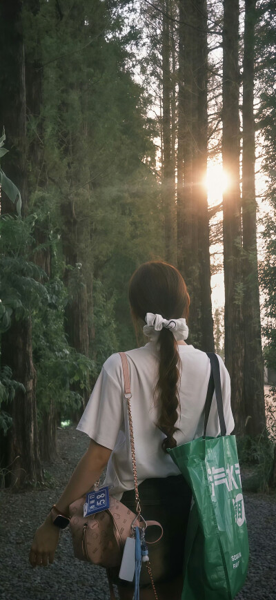 手机壁纸｜聊天背景图