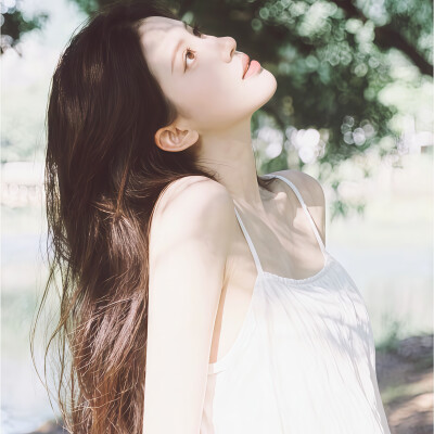 风格