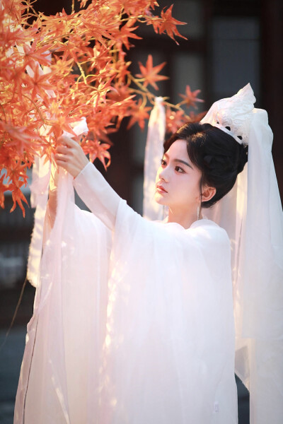 长明灯之青玉案 谢瑜