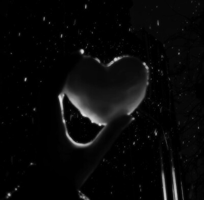 Secret Garden、爱沾满着鲜血……