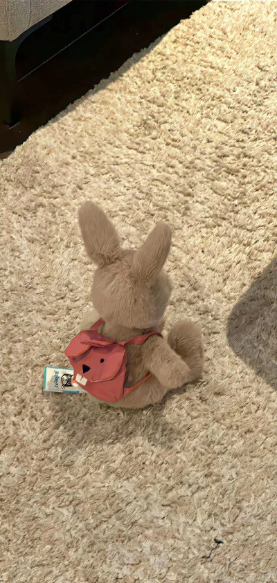 网
