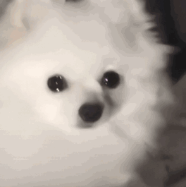 。