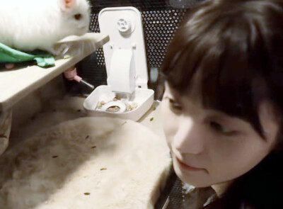 田曦薇