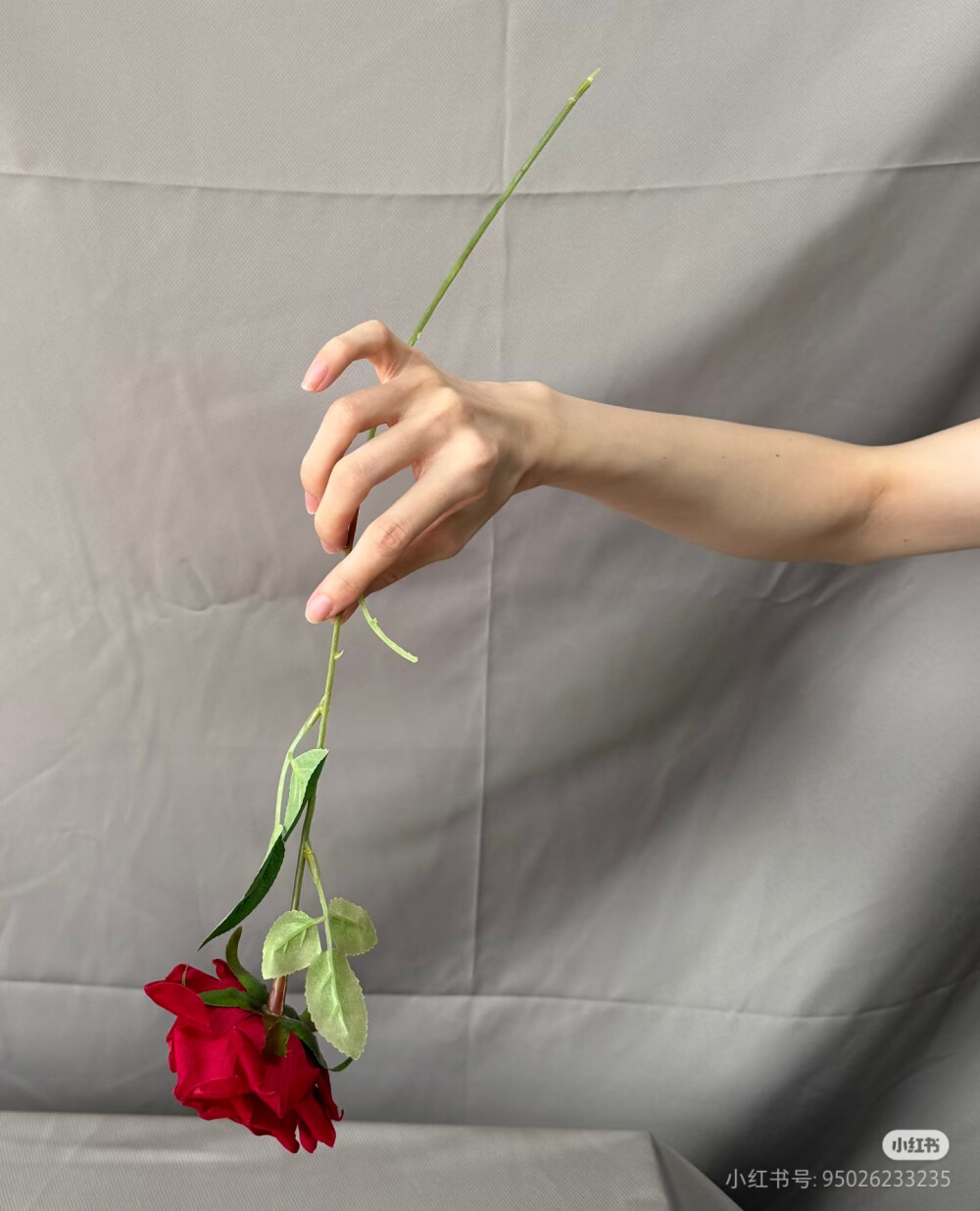 手拿玫瑰