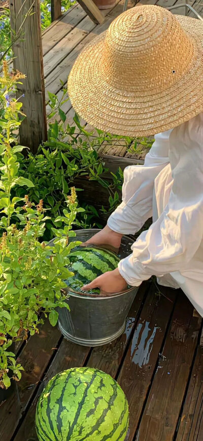 侵删