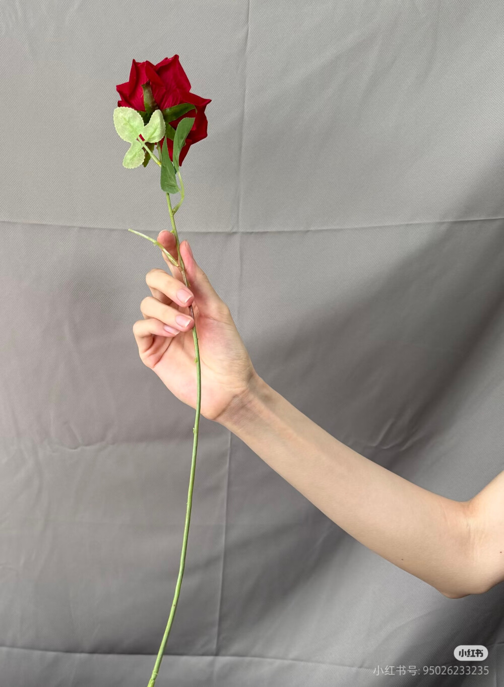 手拿玫瑰