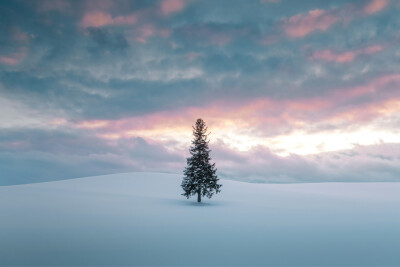 世界的某一个角落
pic from Linksphotograph