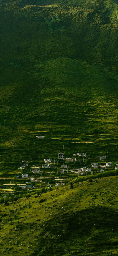 绿色壁纸