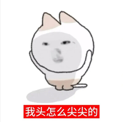 sakuya 表情包