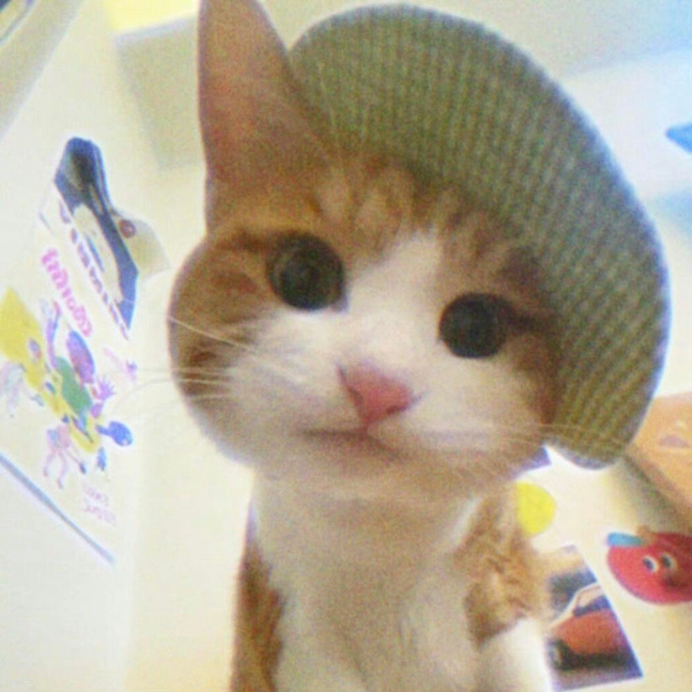 ～
