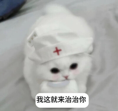 咪咪表情包