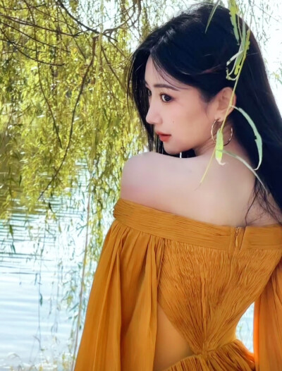 毛晓彤