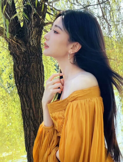 毛晓彤