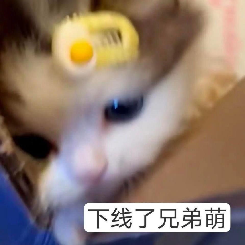 咪咪表情包