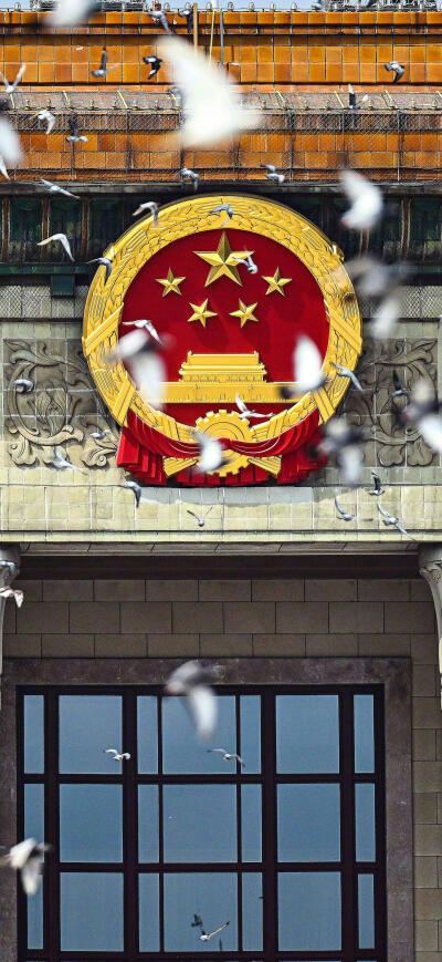壁纸