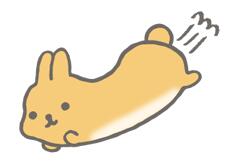 年糕兔