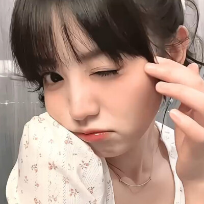 小猫