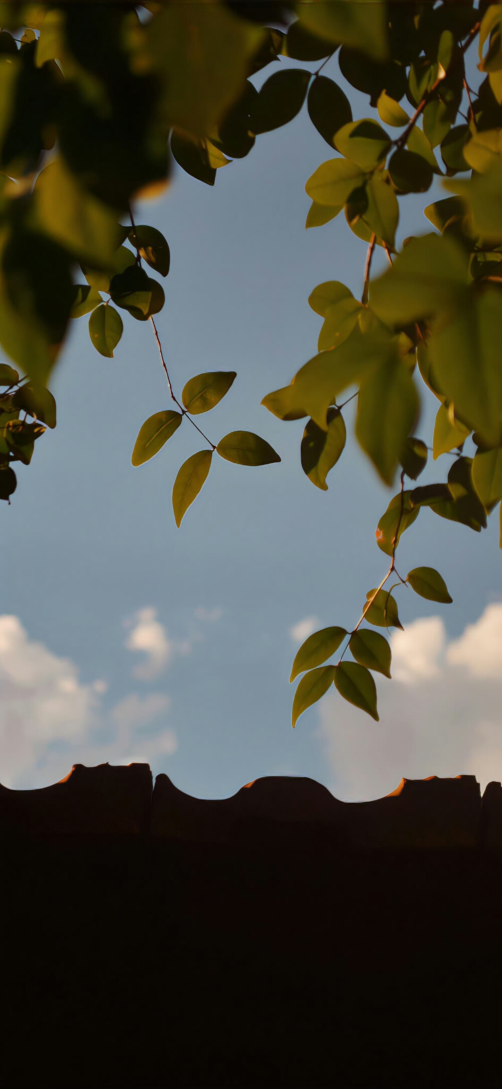 清新简约聊天背景，个性壁纸，锁屏壁纸，来自网络侵删