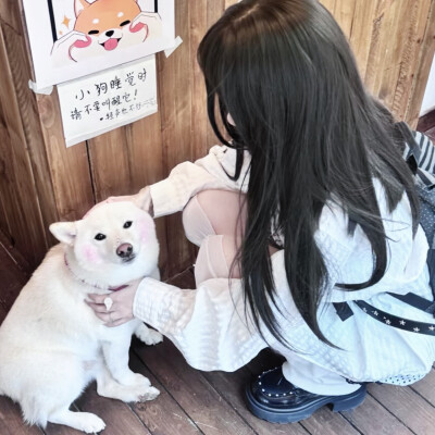 不与梨花同梦