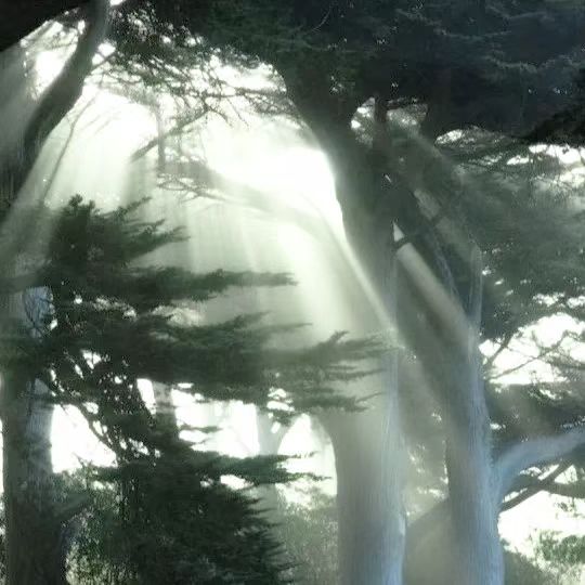 羊肉串宝宝送的特别美