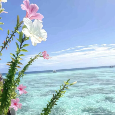 凌晨的海 难言的爱.
侵权删