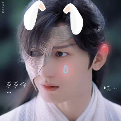 司凤