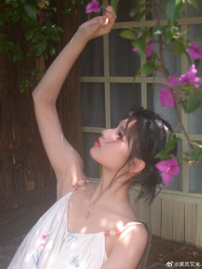 艾米