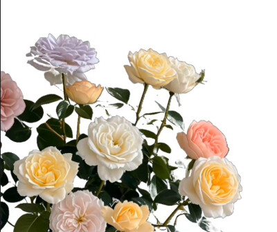 花
