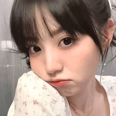 小猫