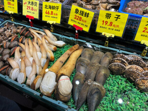 海鲜