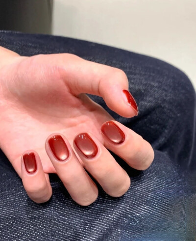 猫眼 红棕 秋冬