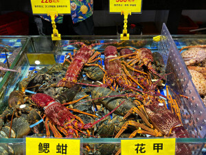 海鲜