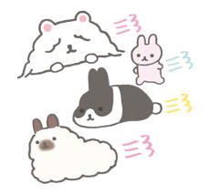 年糕兔2