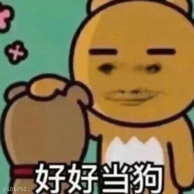 表情包