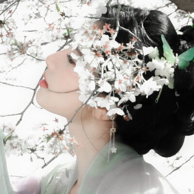 
“ 青衫烟雨客 似是故人来 ”
原图早就偏航了。