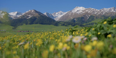 别人眼里的世界
pic-Links