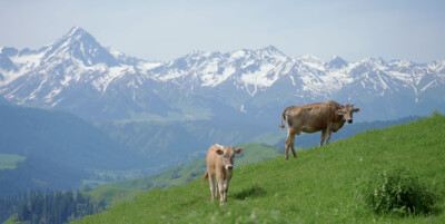 别人眼里的世界
pic-Links