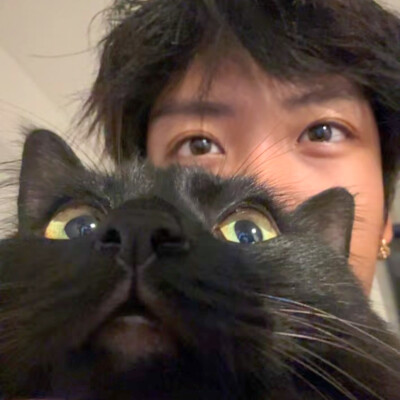 教司