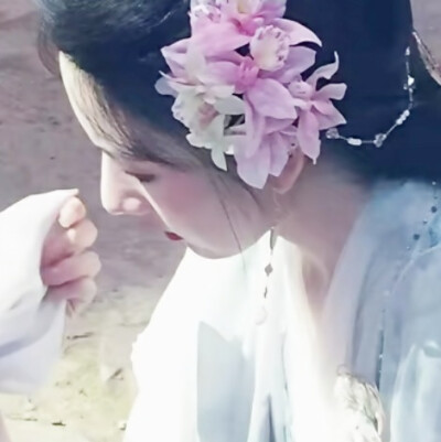 美人泪