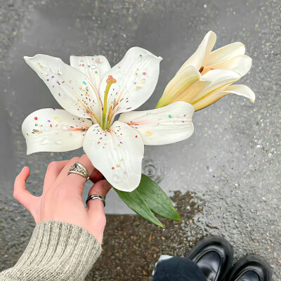 图源ks：偷喝汽水